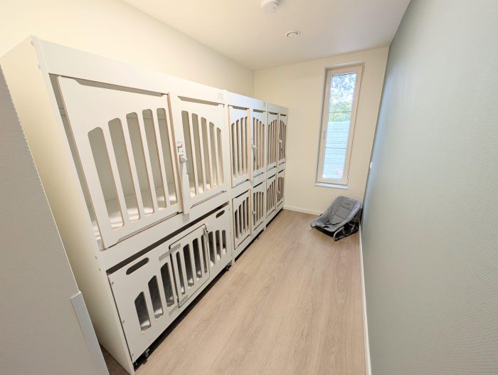 interieur nieuw kinderdagverblijf