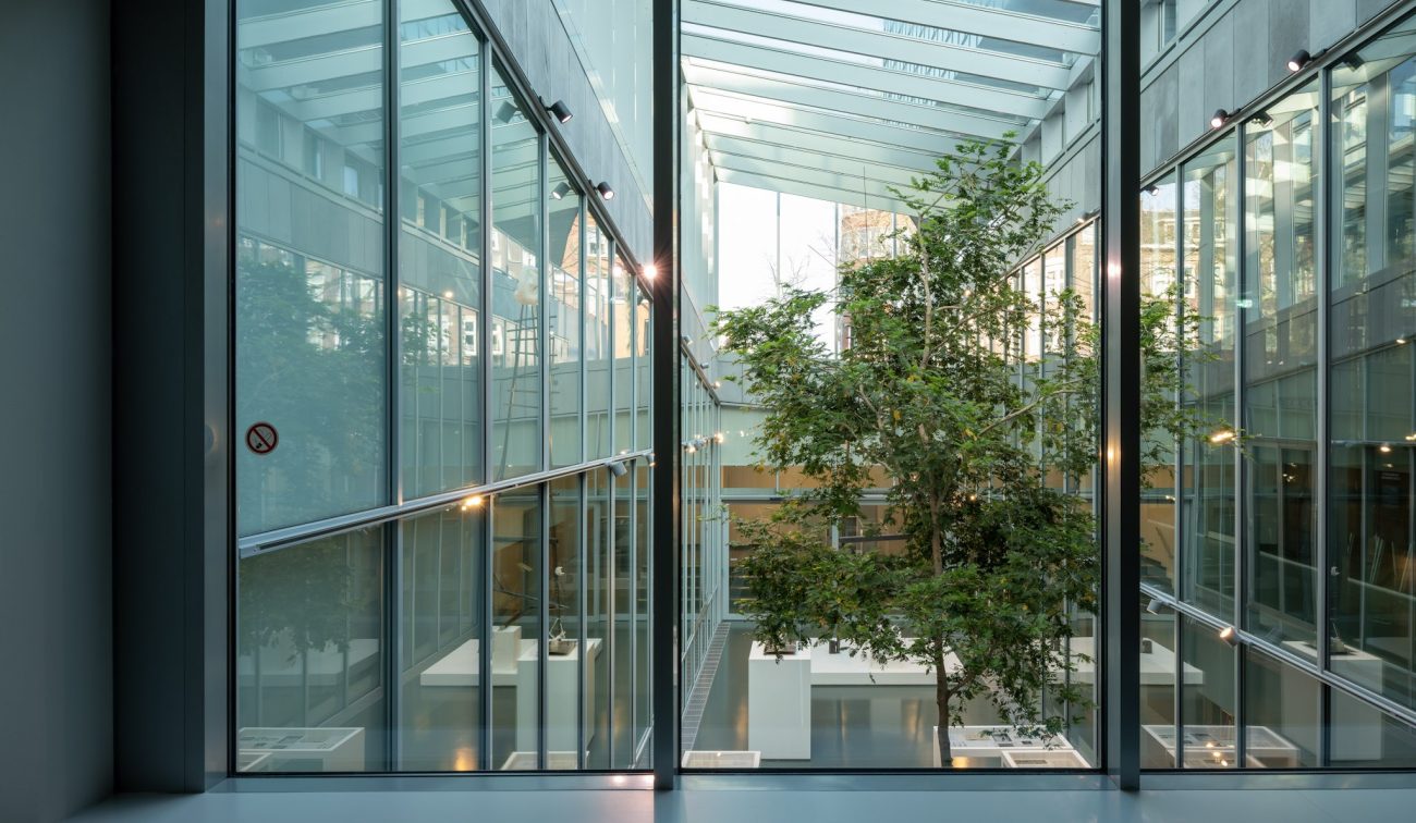 Glazen atrium van SCHUNCK Heerlen met hoge ramen en lichtstraat, zicht op een grote binnentuin-boom en witte vitrines beneden.