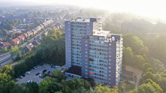 Schuine luchtfoto van de Aambosveldflat in Heerlen: twee grijze woontorens met glazen balkons, omringd door bomen, parkeerplaats vooraan en lichte ochtendnevel.
